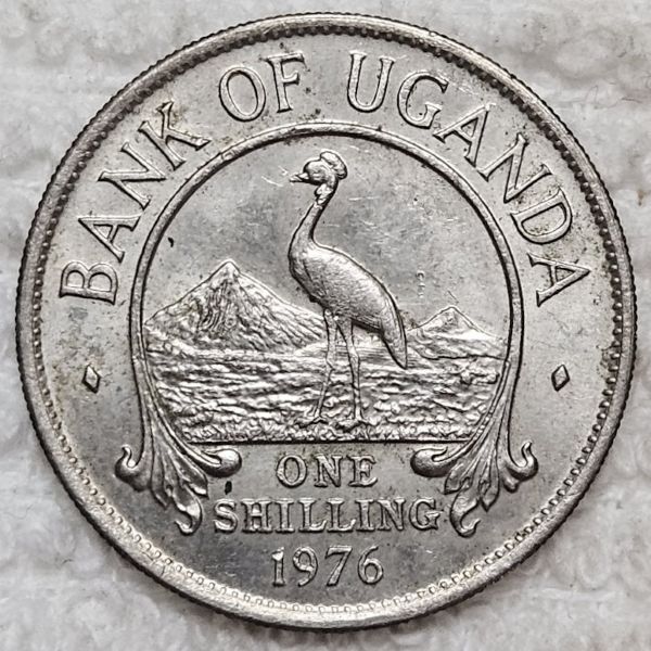 Bring-Out-Your-KM#5-Or-Y#5-Coins-For-Show-&-Tell