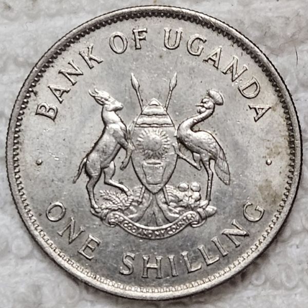 Bring-Out-Your-KM#5-Or-Y#5-Coins-For-Show-&-Tell