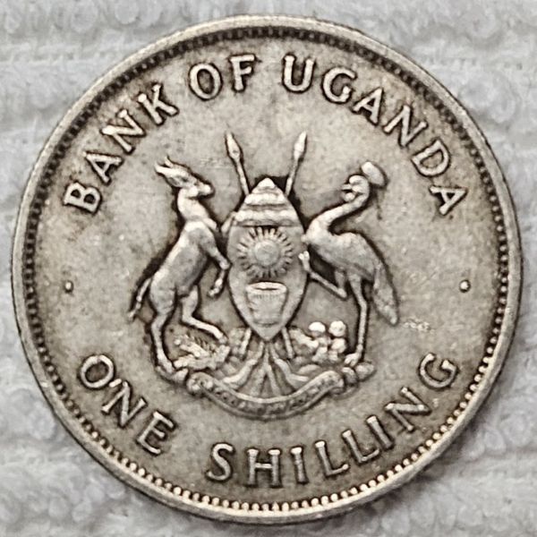 Bring-Out-Your-KM#5-Or-Y#5-Coins-For-Show-&-Tell