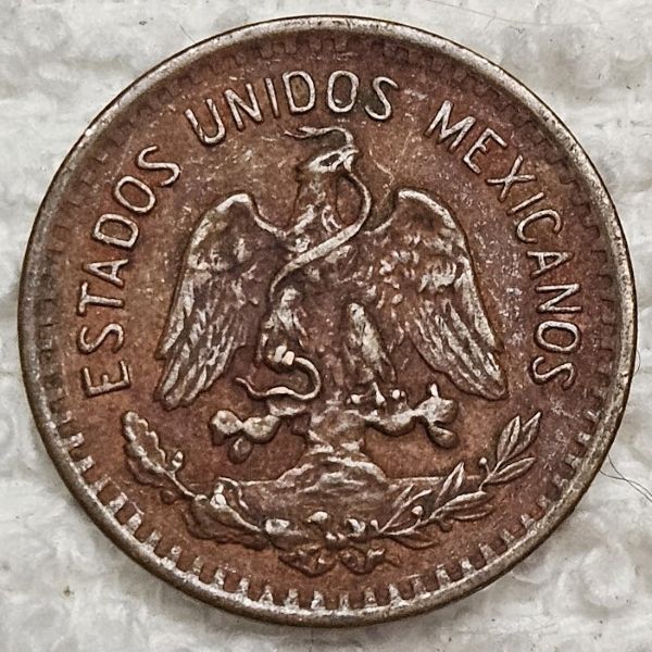 Post-Your-Coins-And-Medals-Featuring-A-Snake.