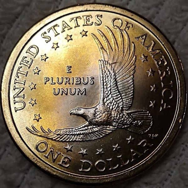 Dearborn's-Sacagawea-Native-American-Small-Golden-Dollar-Collection