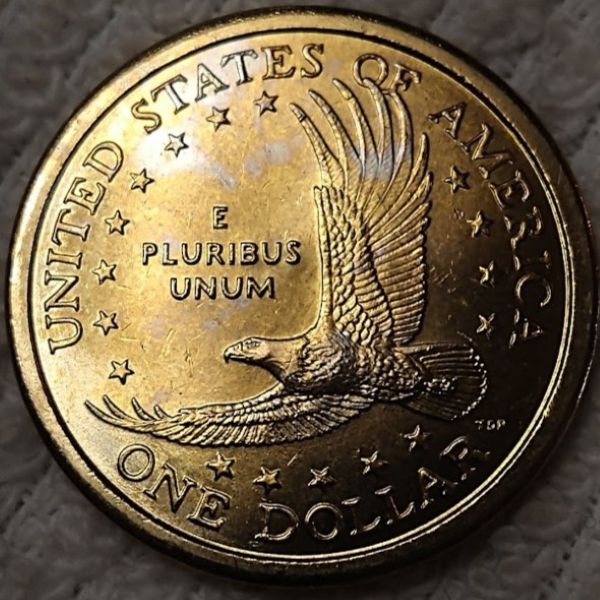 Dearborn's-Sacagawea-Native-American-Small-Golden-Dollar-Collection