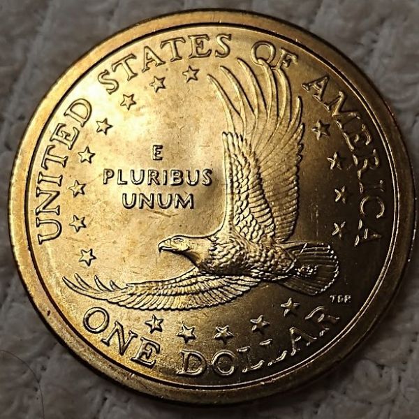 Dearborn's-Sacagawea-Native-American-Small-Golden-Dollar-Collection