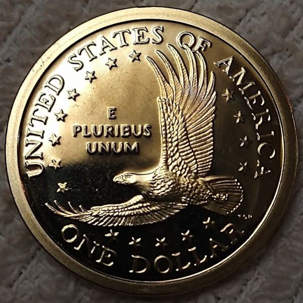 Dearborn's-Sacagawea-Native-American-Small-Golden-Dollar-Collection