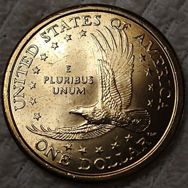 Dearborn's-Sacagawea-Native-American-Small-Golden-Dollar-Collection