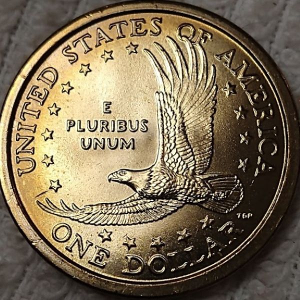 Dearborn's-Sacagawea-Native-American-Small-Golden-Dollar-Collection