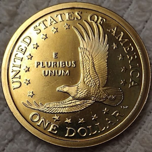 Dearborn's-Sacagawea-Native-American-Small-Golden-Dollar-Collection