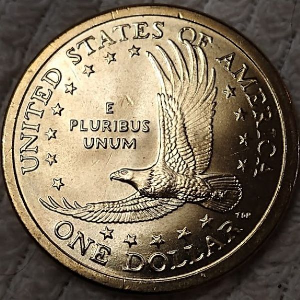 Dearborn's-Sacagawea-Native-American-Small-Golden-Dollar-Collection