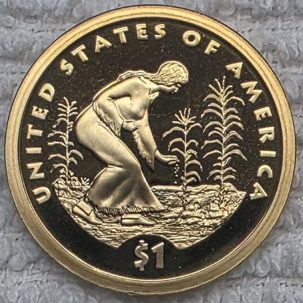 Dearborn's-Sacagawea-Native-American-Small-Golden-Dollar-Collection