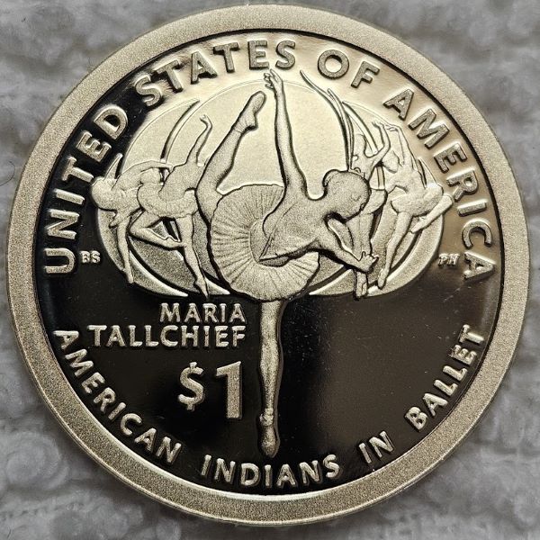 Dearborn's-Sacagawea-Native-American-Small-Golden-Dollar-Collection