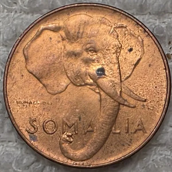 Bring-Out-Your-KM#1-Or-Y#1-Coins-For-Show-&-Tell