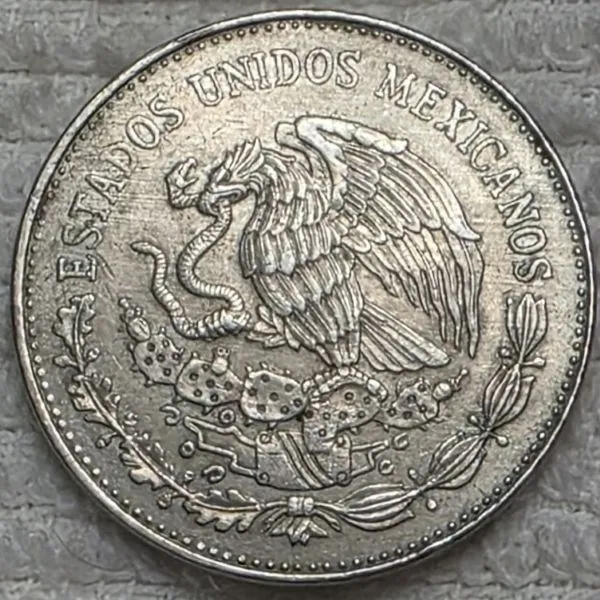 Post-Your-Coins-And-Medals-Featuring-A-Snake.