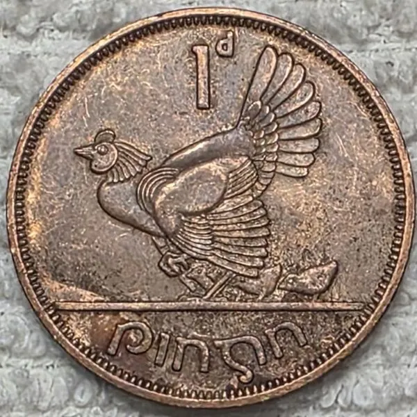 Post-Your-Coins-Representing-The-Animal-Kingdom.