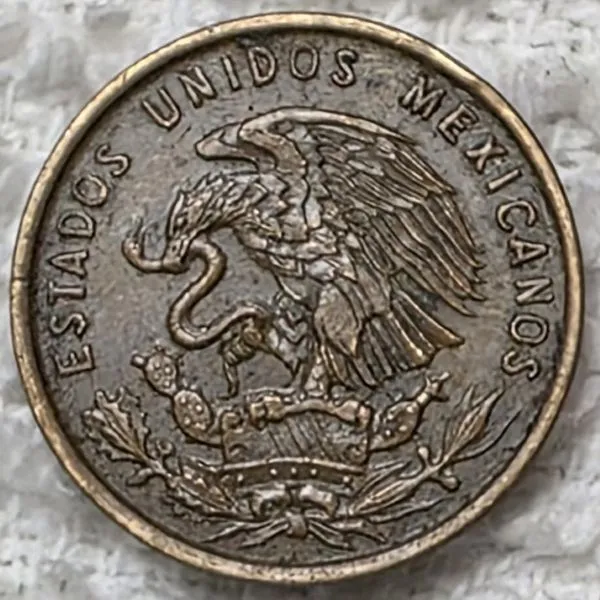 Post-Your-Coins-And-Medals-Featuring-A-Snake.