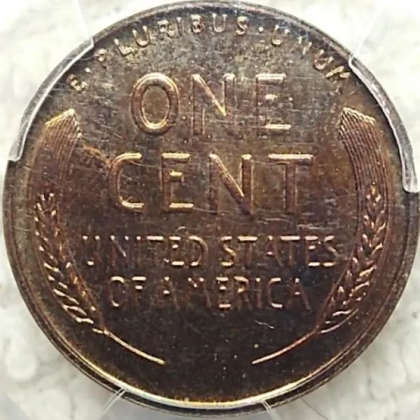 Dearborn's-Dansco-Lincoln-Cent--Collection