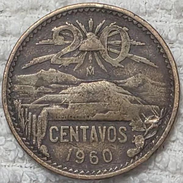 Post-Your-Coins-With-Hats
