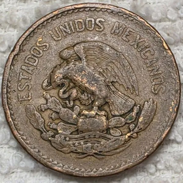 Post-Your-Coins-And-Medals-Featuring-A-Snake.