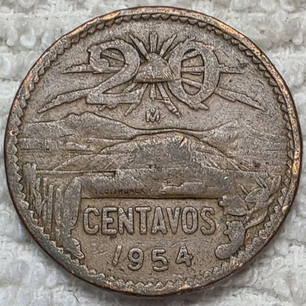 Post-Your-Coins-And-Medals-Featuring-A-Snake.