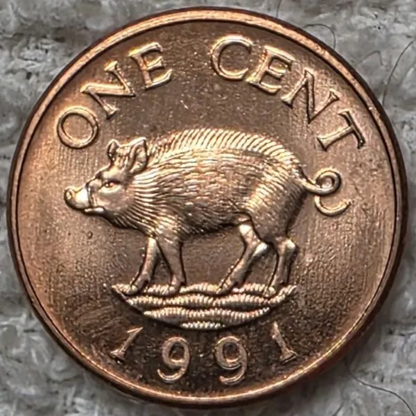 Post-Your-Coins-Representing-The-Animal-Kingdom.