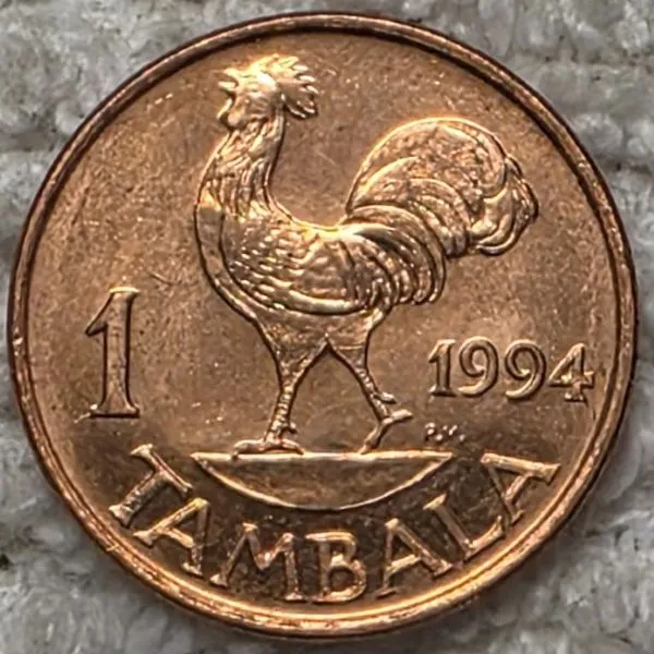 Post-Your-Coins-Representing-The-Animal-Kingdom.