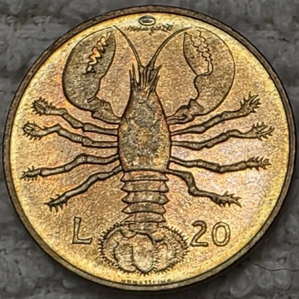 Post-Your-Coins-Representing-The-Animal-Kingdom.