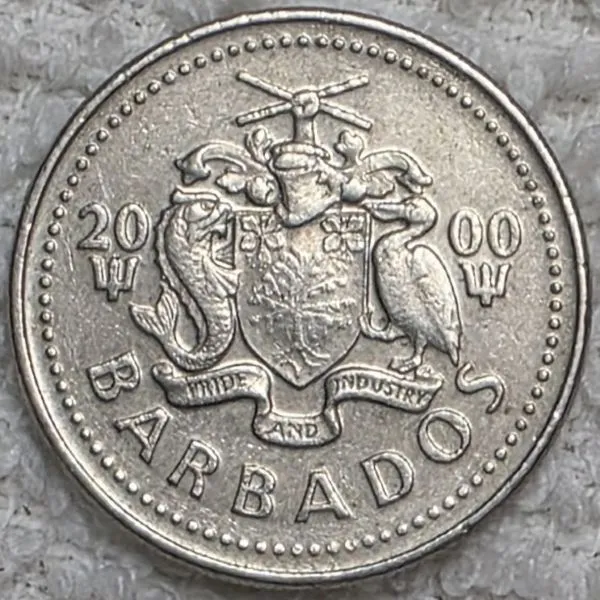 Continuing-List-To-Show-Everyones-Latest-Acquisitions