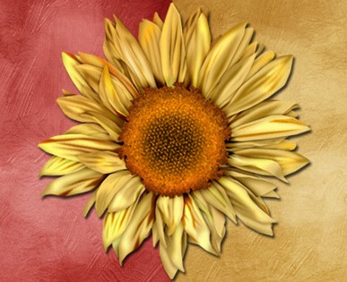 Please-Change-My-Avatar