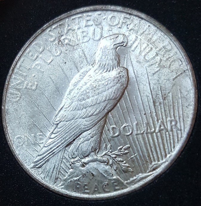 1922-P-Peace-Dollar-How-To-VAM?