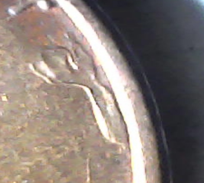 Completely-New,-What's-This-Rose-Looking-Blemish-After-Trust?-1982-Cent