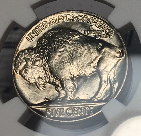 1937-Buffalo-#2---You-Vs-NGC