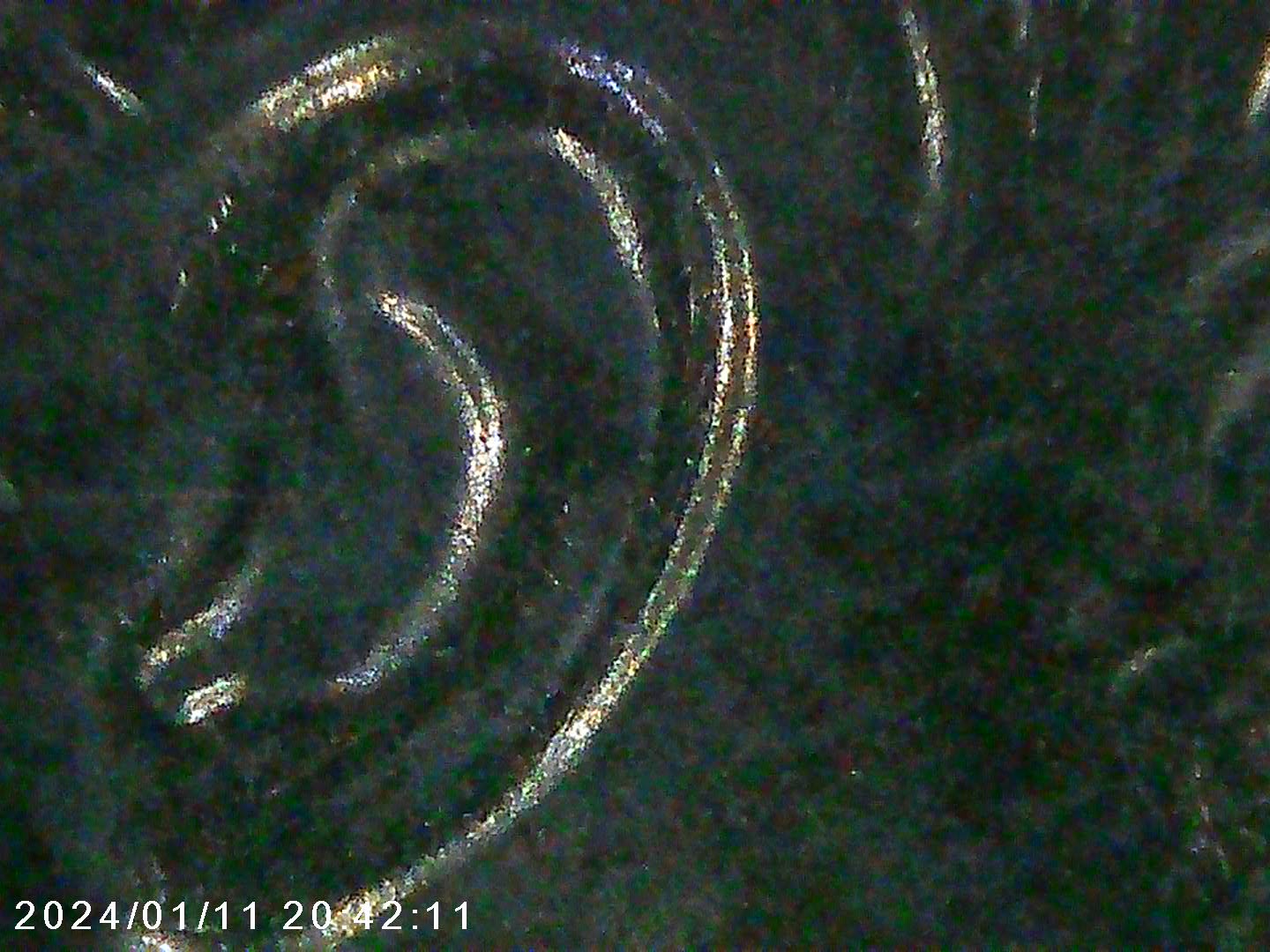 2020-P-Roosevelt-Dime-?type-Of-Doubling?