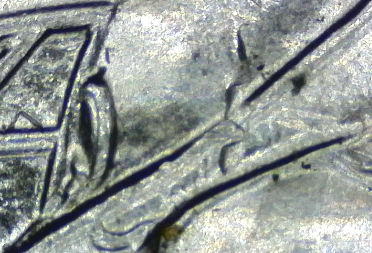 2023-Ellanor-Roosevelt-Quarter-ErrorS