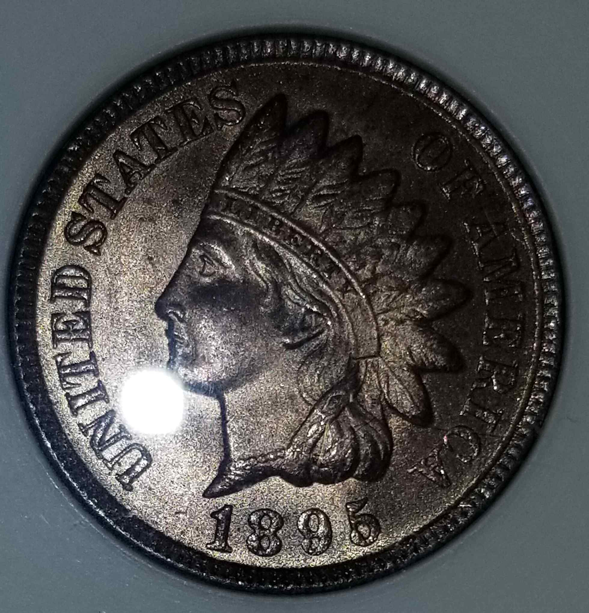 Is-ANA-A-Reputable-Legit-Grading-Company-And-Request-Opinion-Of-Grade-On-1895-Indian-Head-Cent