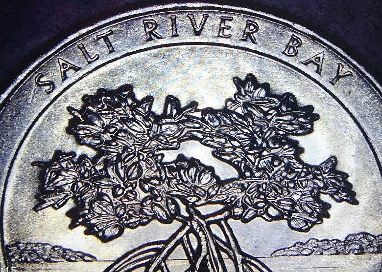 2020-Salt-River-P-Errors
