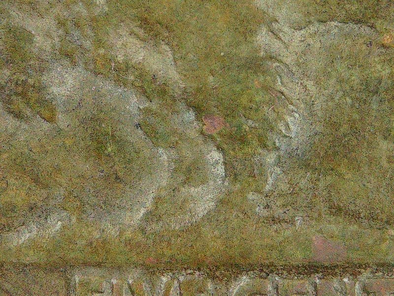 1917-D-Buffalo---Confirmation-Of-3.5-Legs-Please