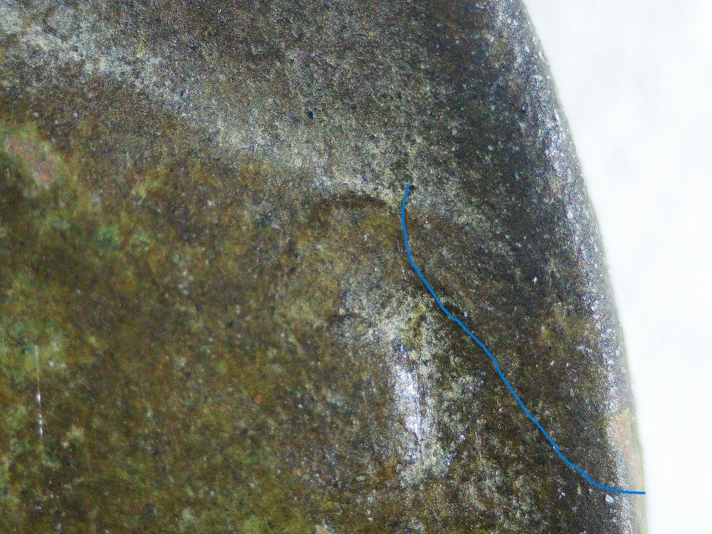 1917-D-Buffalo---Confirmation-Of-3.5-Legs-Please