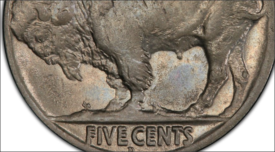 1917-D-Buffalo---Confirmation-Of-3.5-Legs-Please