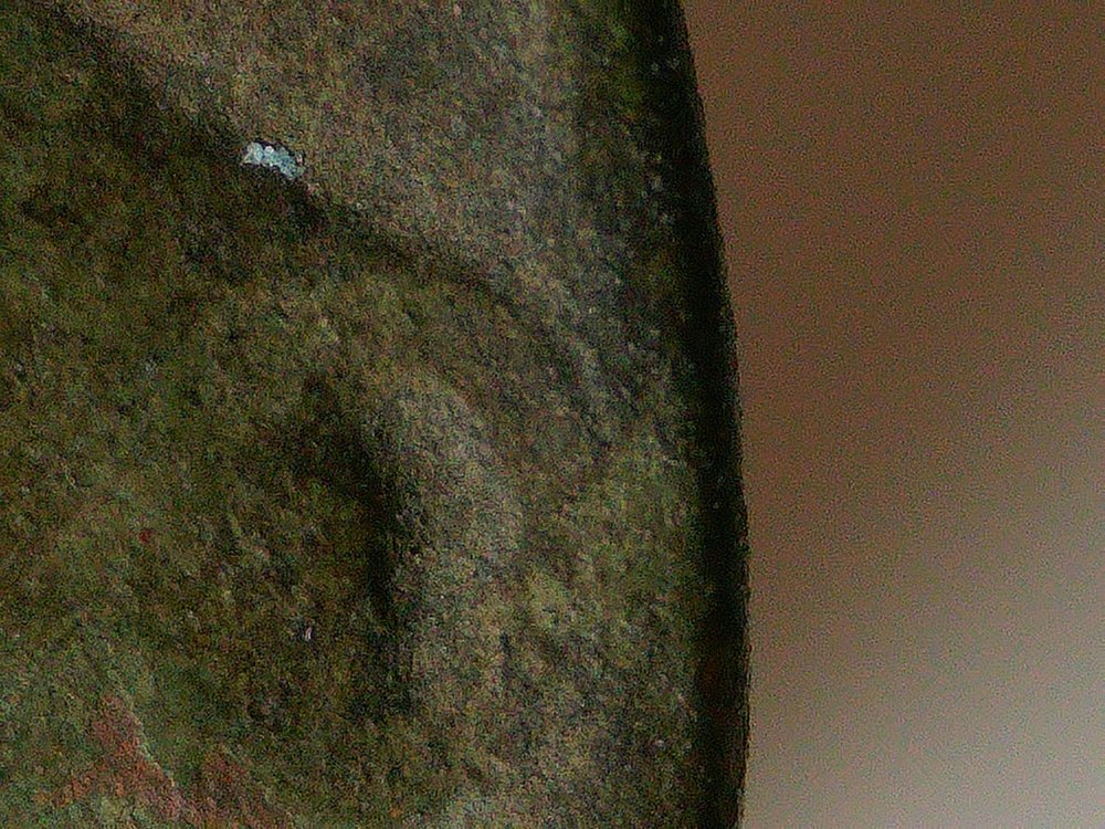 1917-D-Buffalo---Confirmation-Of-3.5-Legs-Please