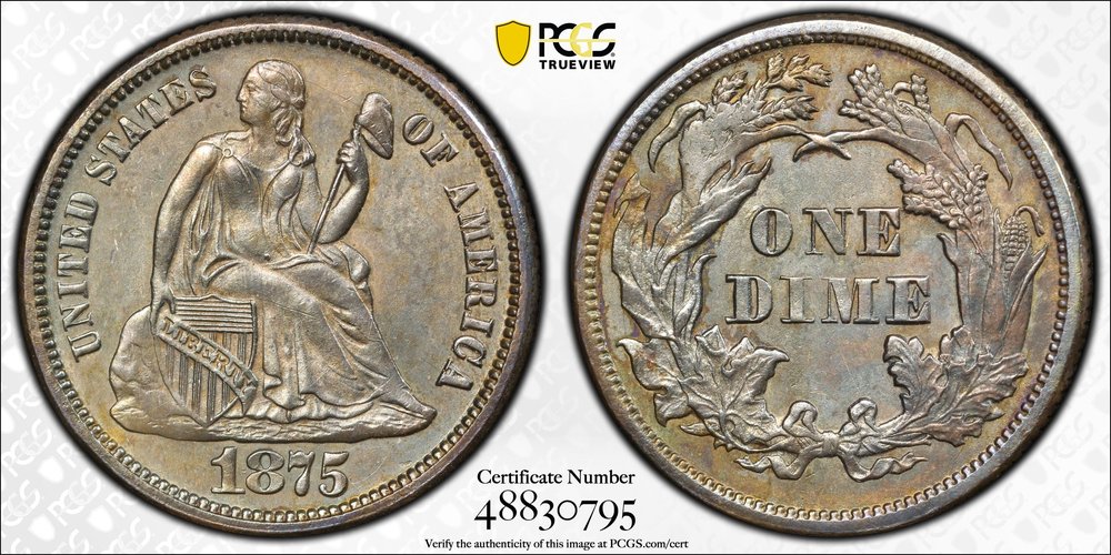 1875-Seated-Dime---A-Quick-Round-Of-Guess-The-Grade