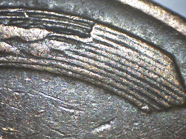 1958-D-Cent-Left-Wheat-Break