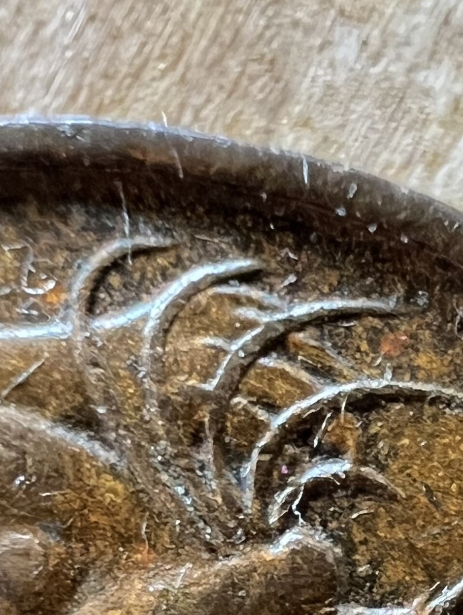 1966-Australian-1-Cent-Blunt-Second-Whisker-Query