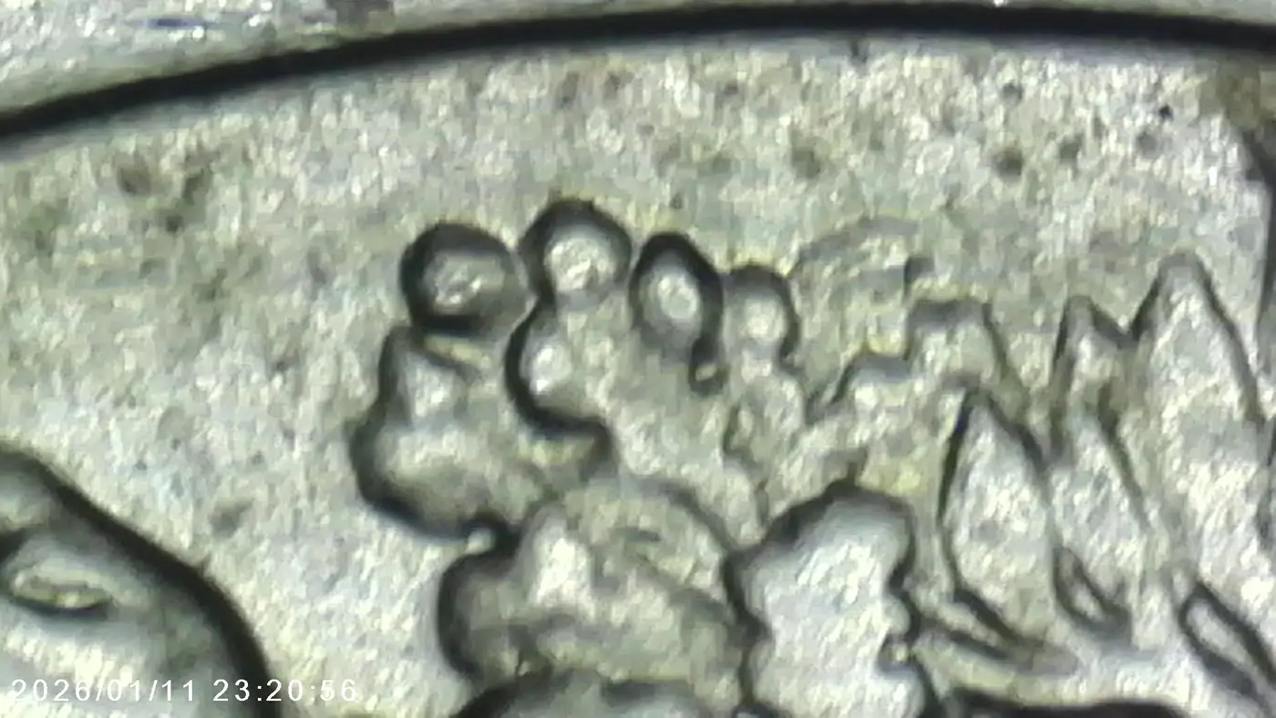 1939-Walking-Liberty-Half-Dollar---Possible-Die-Crack-/-Die-Chip?-Looking-For-Opinions