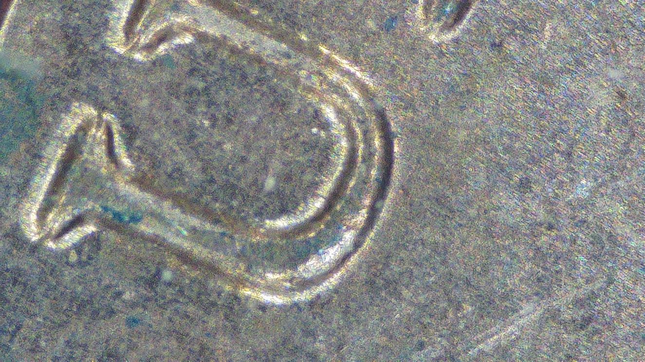 2021-LSC--What-Kind-Of-Doubling-Is-This?