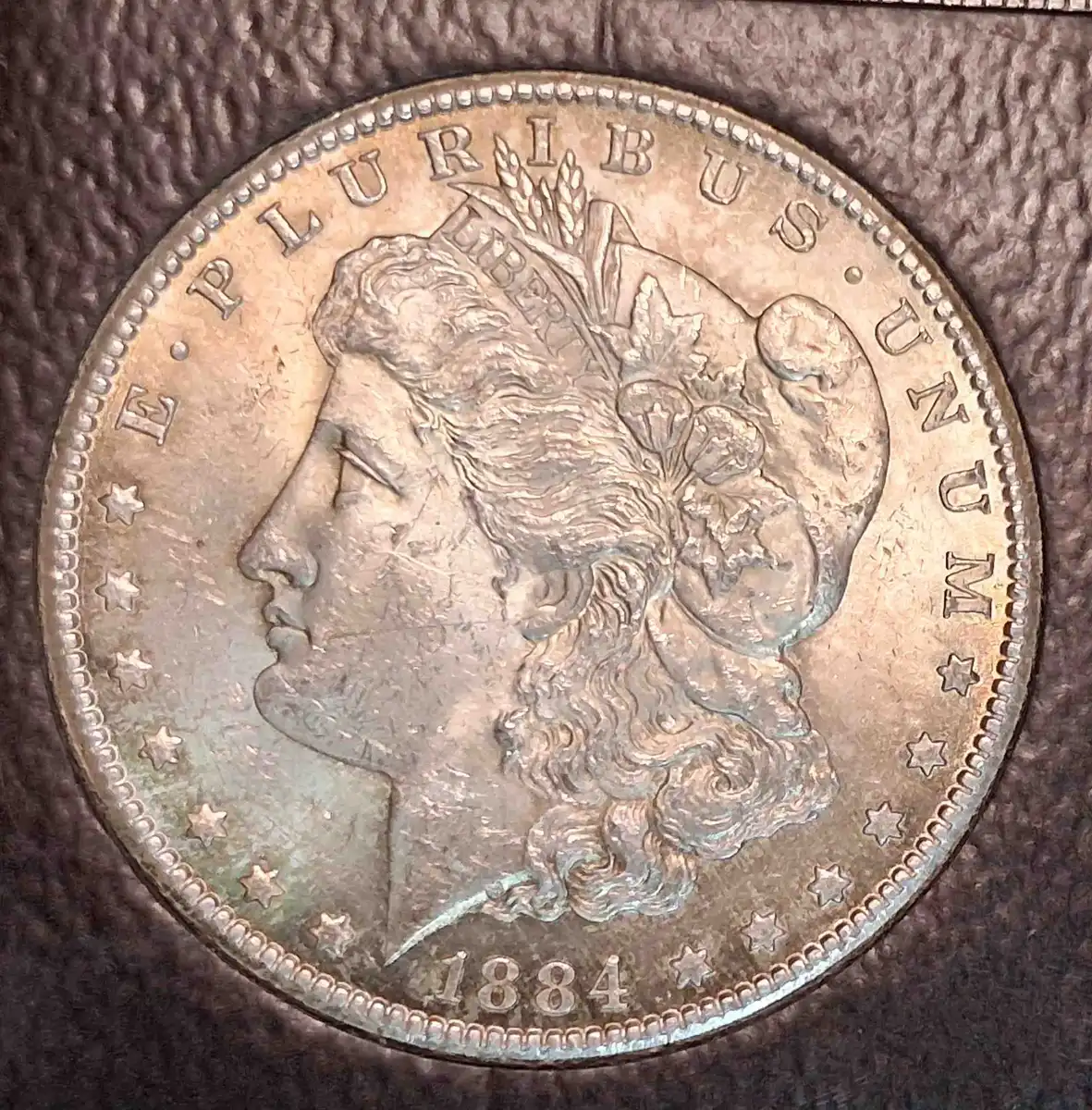 1884-CC-Morgan-Dollar-For-Grading-Opinions