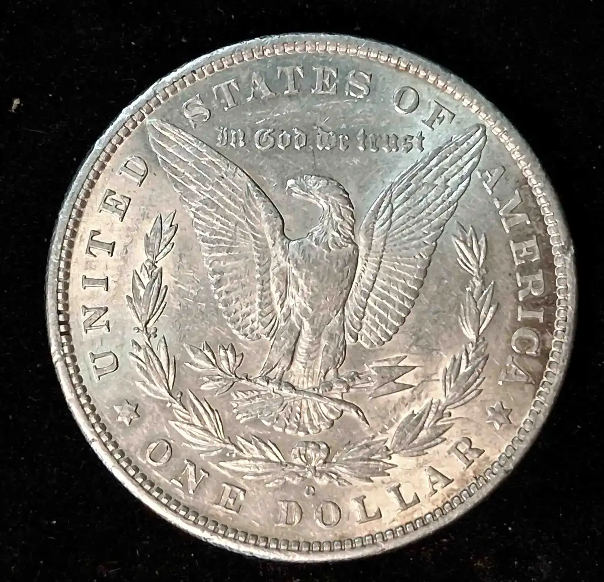 1880-O-Morgan-Dollar-Grading-Opinions.