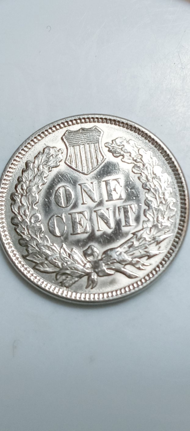 1894-Indian-Head-Cent