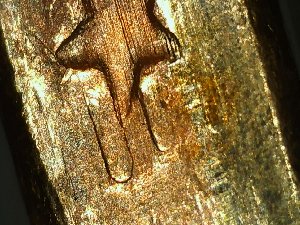 2011-P-James-Garfield-Dollar-Coin-Edge-Lettering-Extra-Letter-Error-?