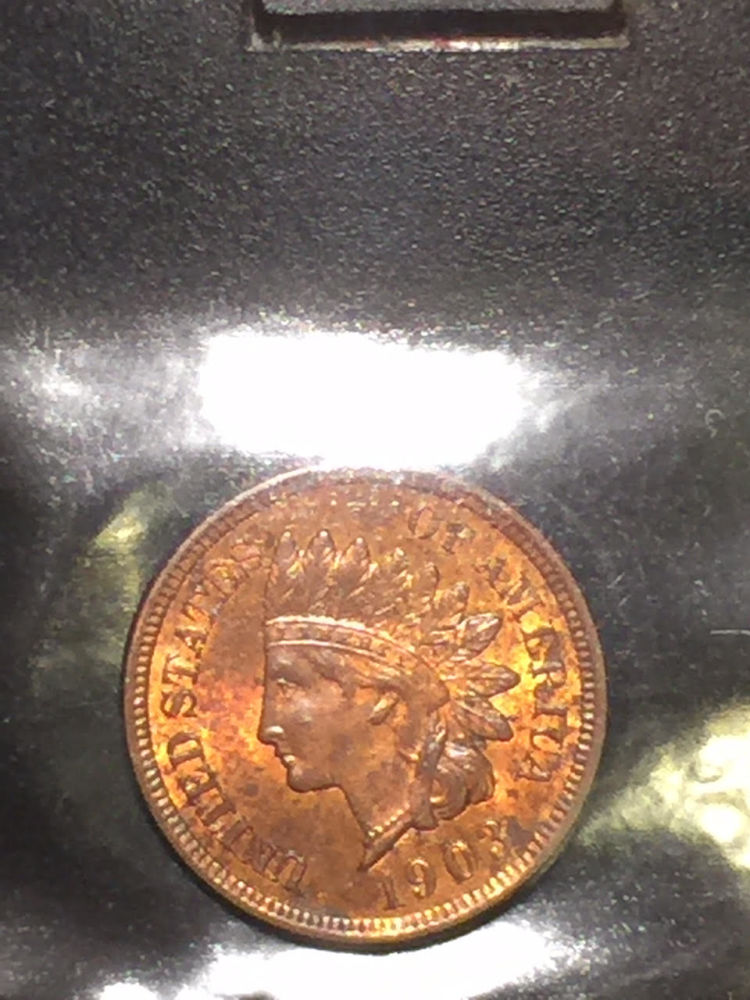 Indian-Cent-Monday-Post-Your-Pics.