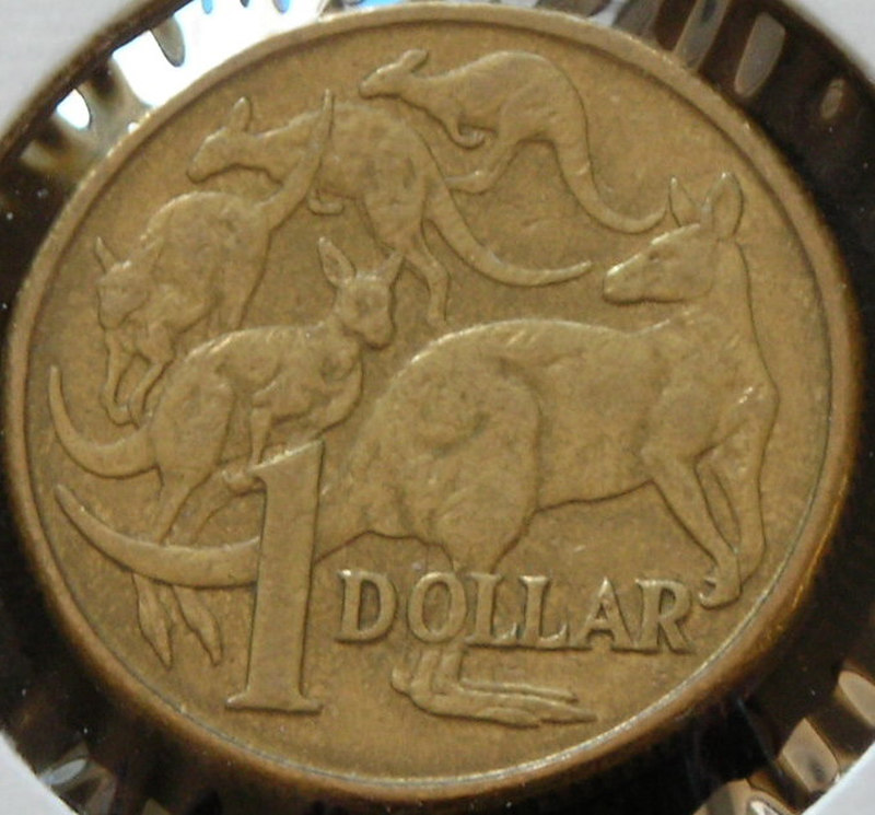 $1-Mob-Of-Roos---3RD-Roo-Missing-Right-Rear-Leg?