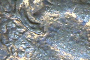 1984-LMC-Ear-Doubling?